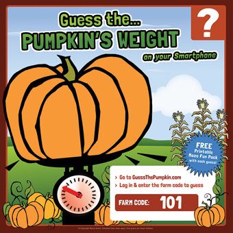 Guess the Pumpkin Game
